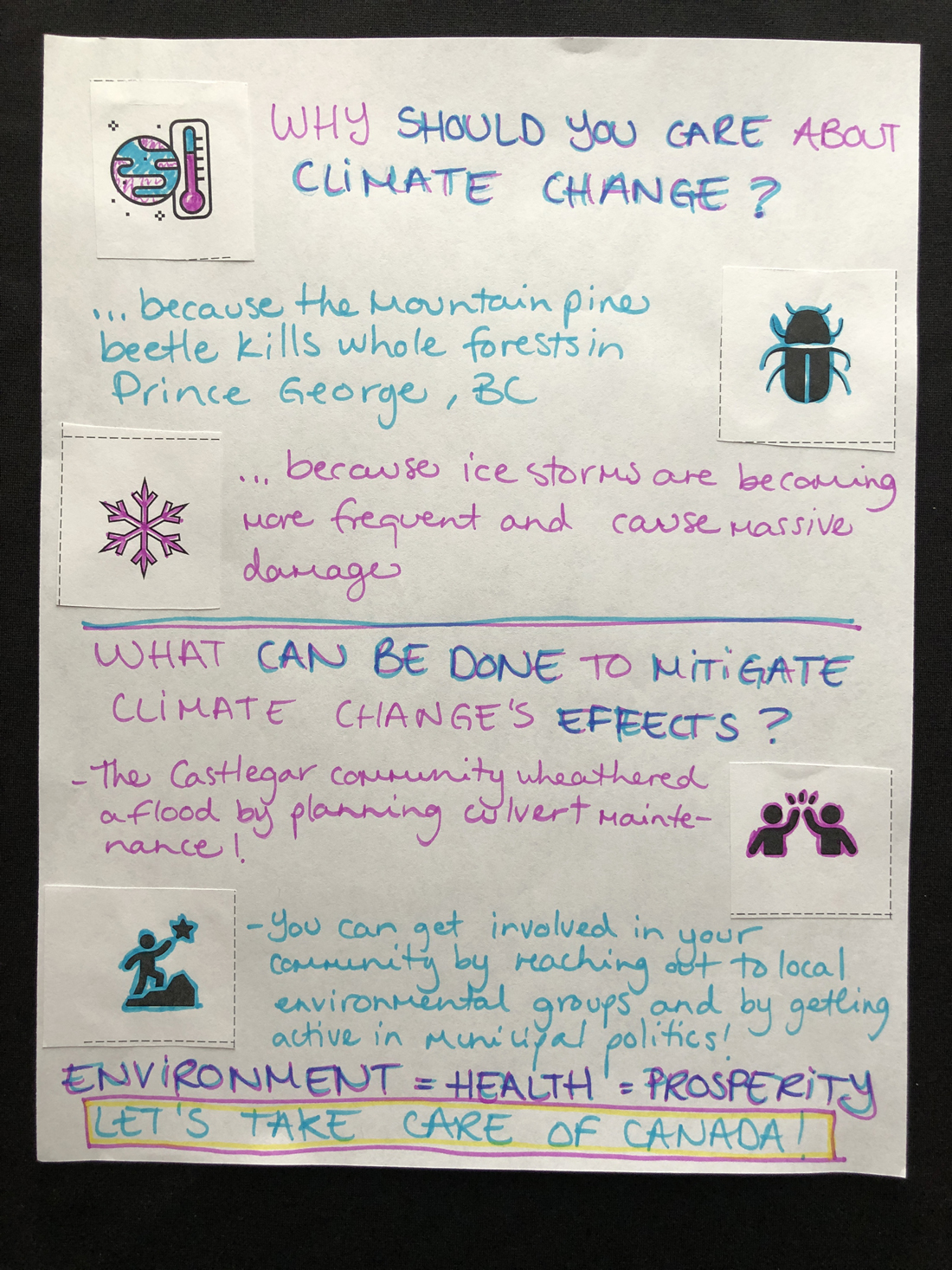 Participant infographic 29