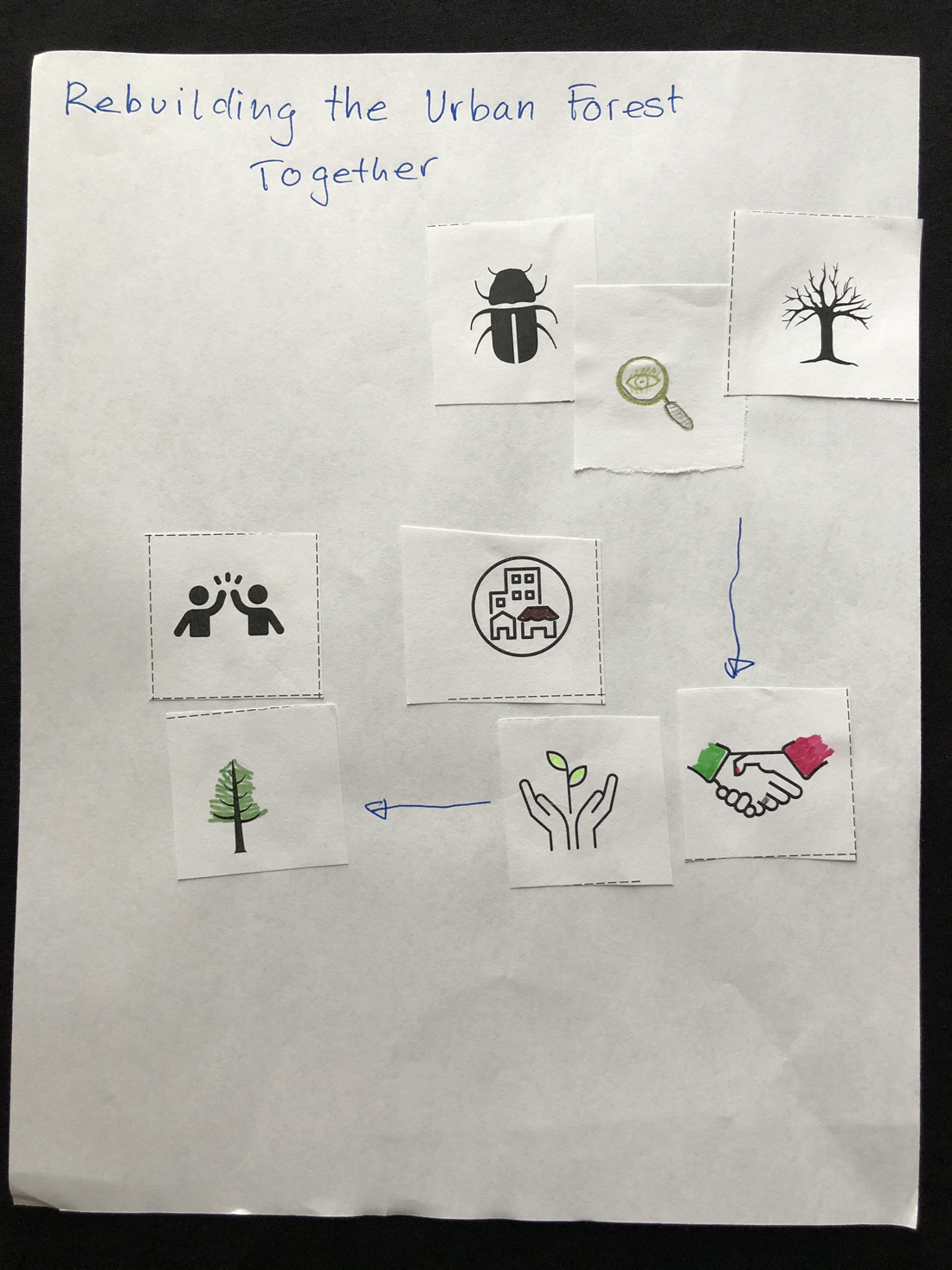 Participant infographic 26