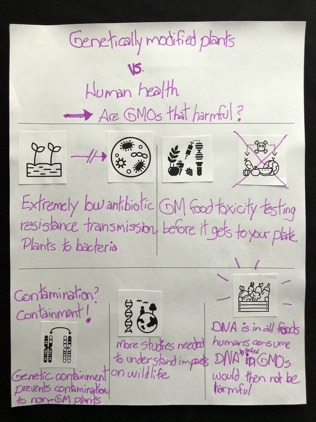 Participant infographic 52