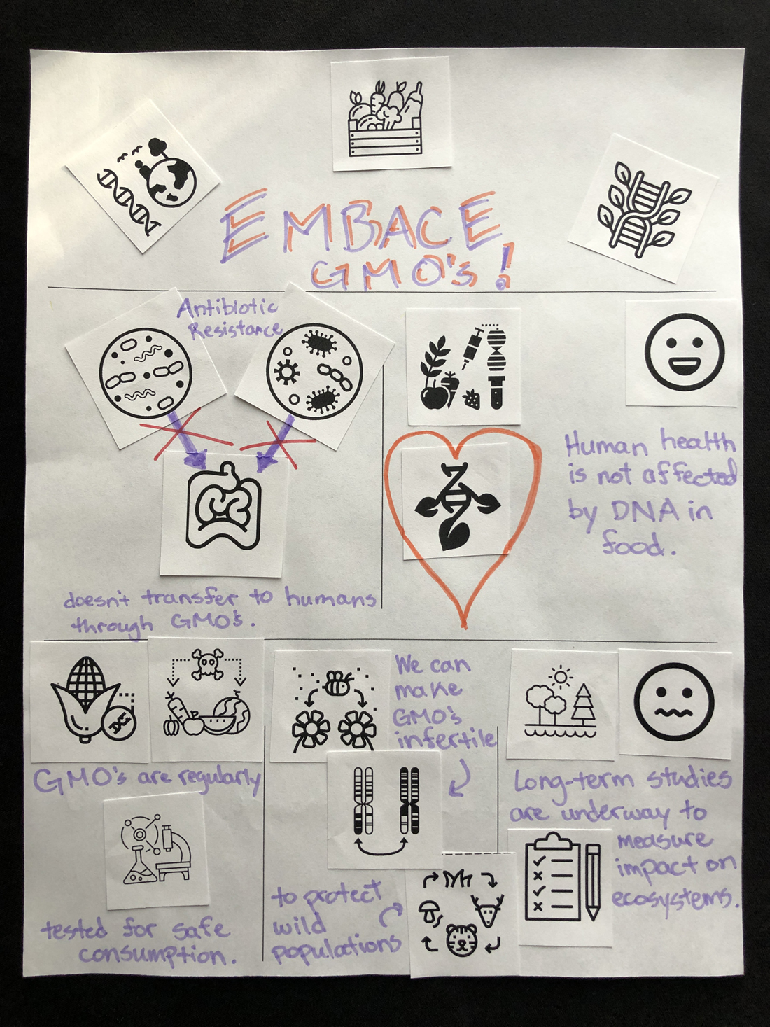 Participant infographic 46