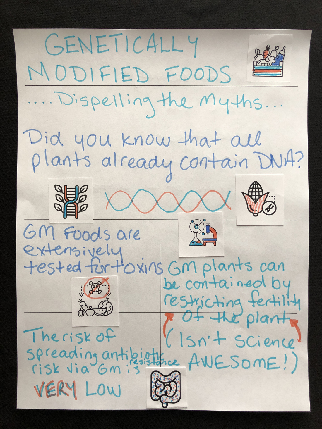 Participant infographic 53