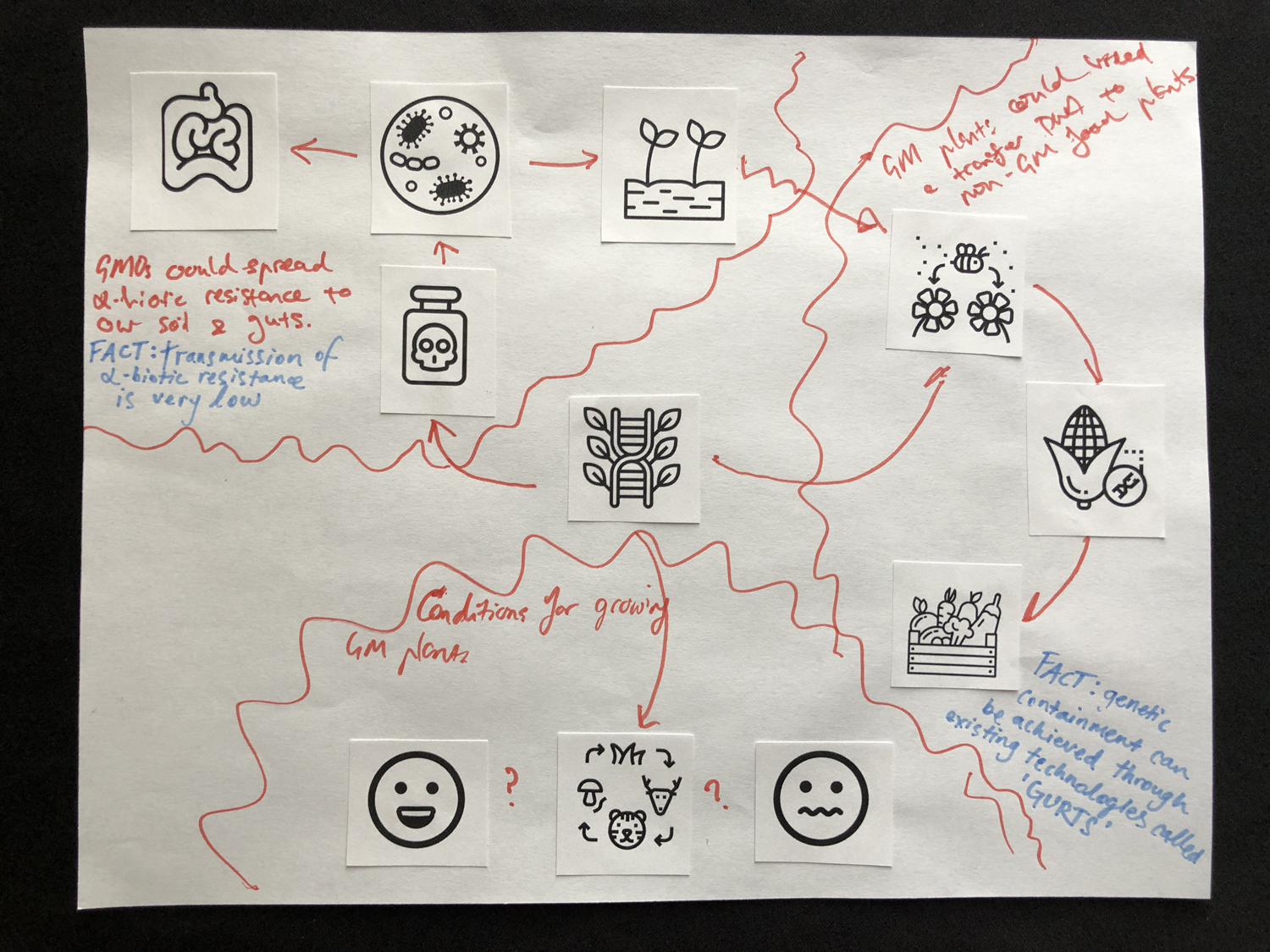 Participant infographic 1