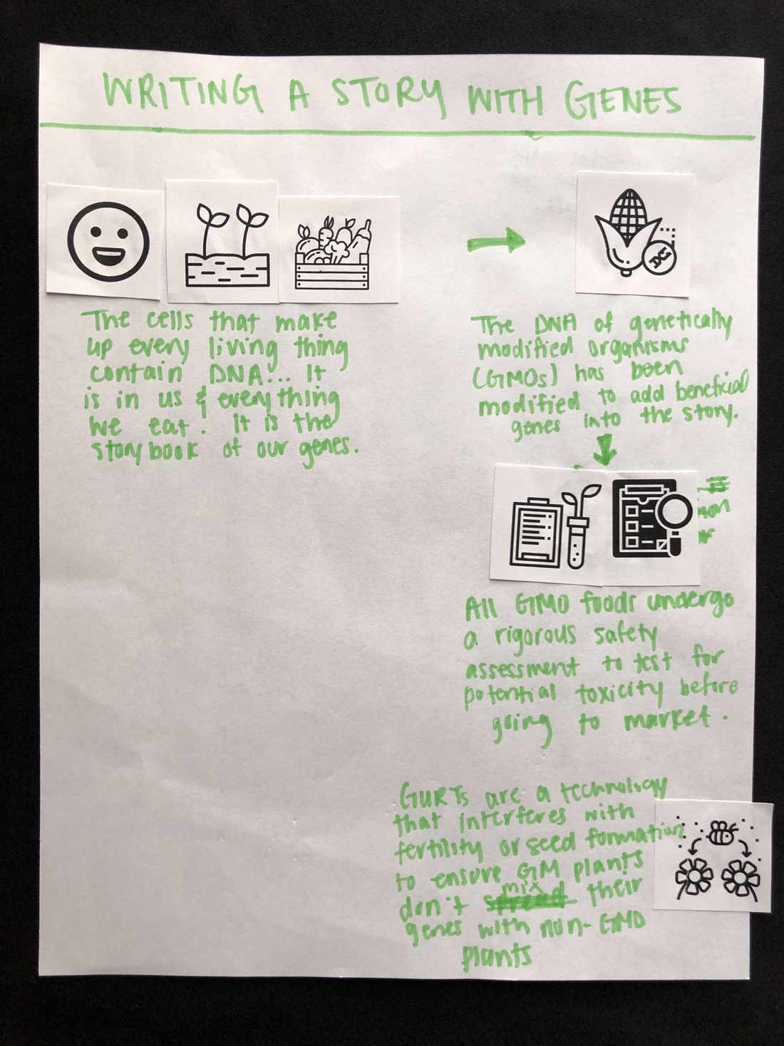 Participant infographic 51