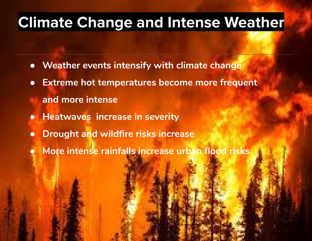 Melanie (Climate Change Group)